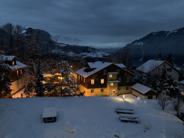 Benefícios na Suíça – Guia para Famílias Expatriadas